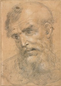 Head of a Bearded Man (recto); Study for a Sacra Conversazione (verso)